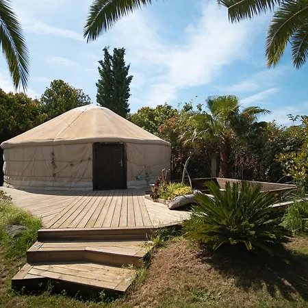 Luxussátor Yourte Jardin Tropicale Piscine - Quatre Murs Et Un Toit Hyères